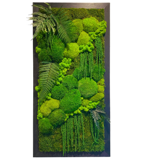 Obraz z mchu w czarnej, płaskiej ramie 50x100cm