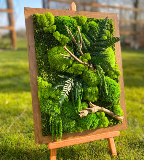 Obraz z mchu w drewnianej ramie w kolorze dębu 30x40cm 