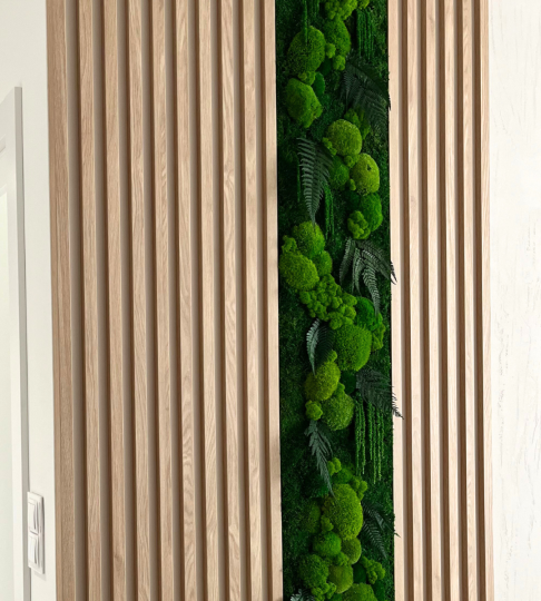 Panel z mchu 30x100cm/na wymiar