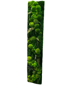 5.png