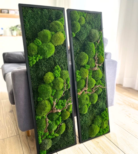 Dwa obrazy z mchu, zestaw, dyptyk 30x100cm w czarnych, drewnianych ramach