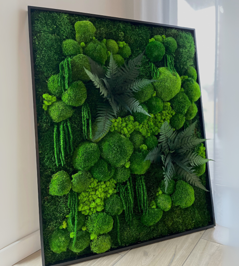 Obraz z mchu i roślin stabilizowanych 80x100cm w czarnej, drewnianej ramie 