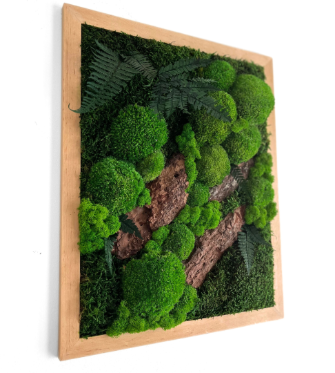 Obraz z mchu i kory 40x50cm w jasnej, drewnianej ramie