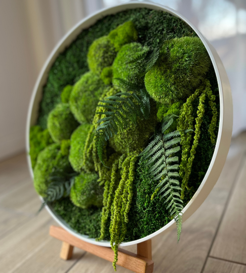 Okrągły obraz z mchu  40cm w białej, stalowej ramie 