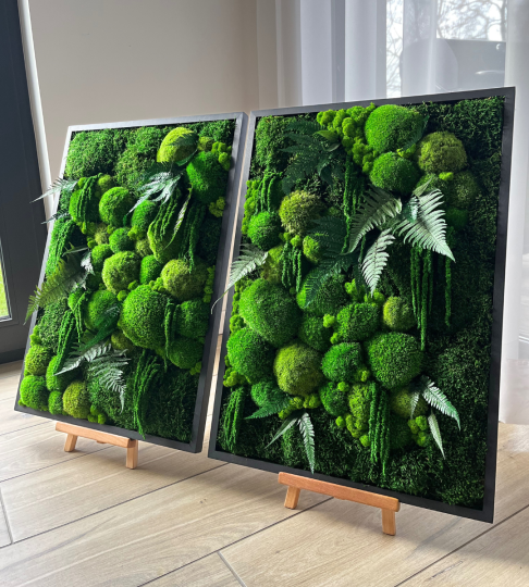 Dwa obrazy z mchu 50x70cm, dyptyk z mchu i roślin stabilizowanych w czarnych, drewnianych ramach