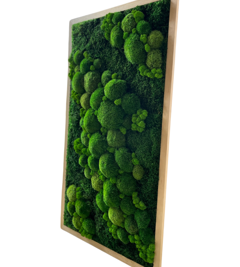 Obraz z mchu 55x100cm w jasnej, drewnianej ramie 
