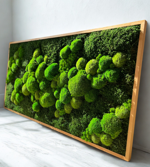 Obraz z mchu 120x60cm w drewnianej ramie 