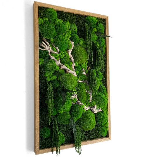 Obraz z mchu i roślin stabilizowanych 50x80cm w dębowej ramie 
