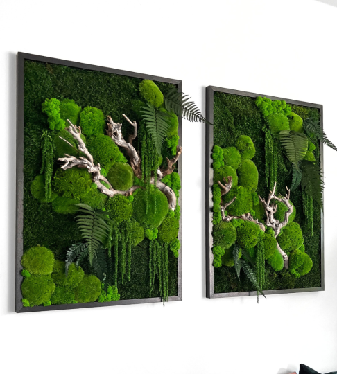 Dwa obrazy z mchu - dyptyk, zestaw 50x70cm w czarnych drewnianych ramach