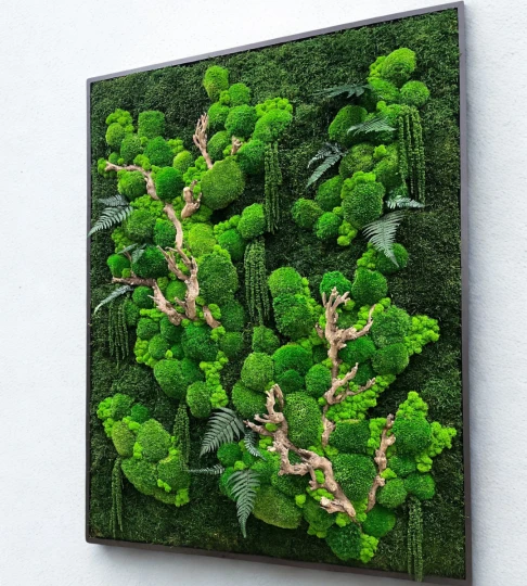 Obraz z mchu w czarnej, drewnianej ramie  100x130cm 