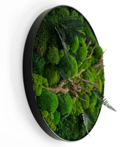 78.png