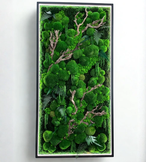Obraz z mchu z oświetleniem LED 80x150cm w czarnej, drewnianej ramie