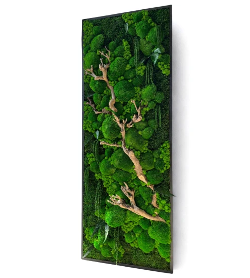 Obraz z mchu 160x60cm w czarnej, drewnianej ramie 